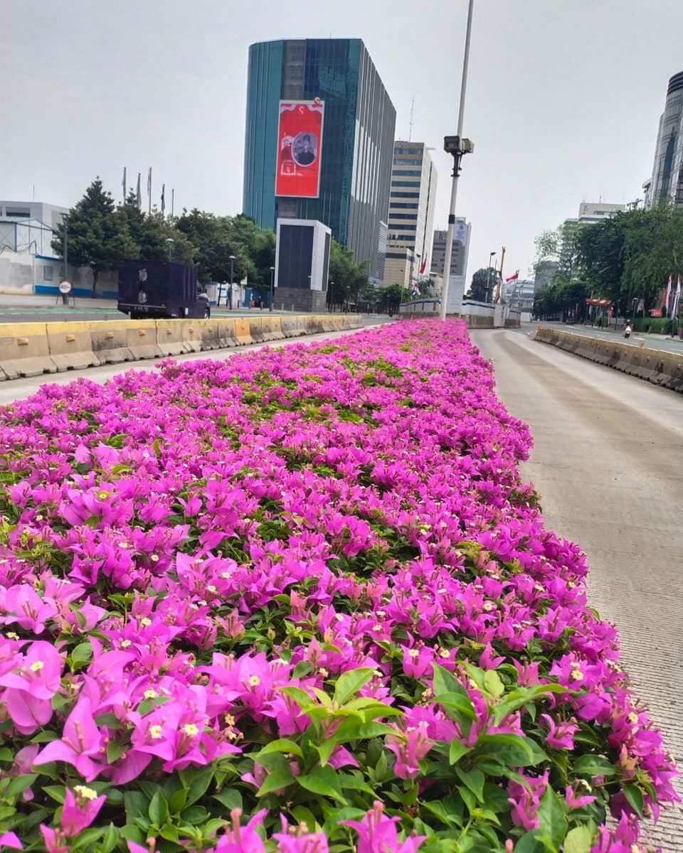 Wajah Baru Jakarta Penuh Bunga, Anies Baswedan Banjir Pujian Warganet